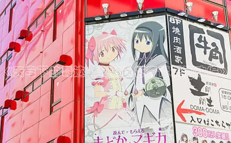 五一动画网页版