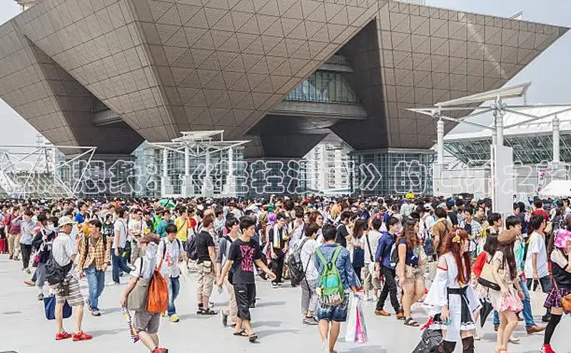 51动画网页版官网