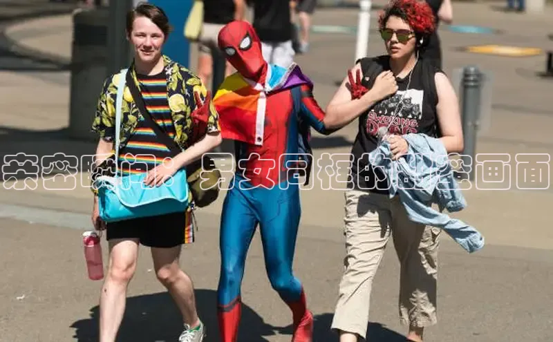 51动画网页版官网